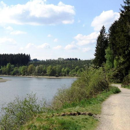 Boutique Chalet In B Llingen Near Lake Wirtzfeld Екстер'єр фото
