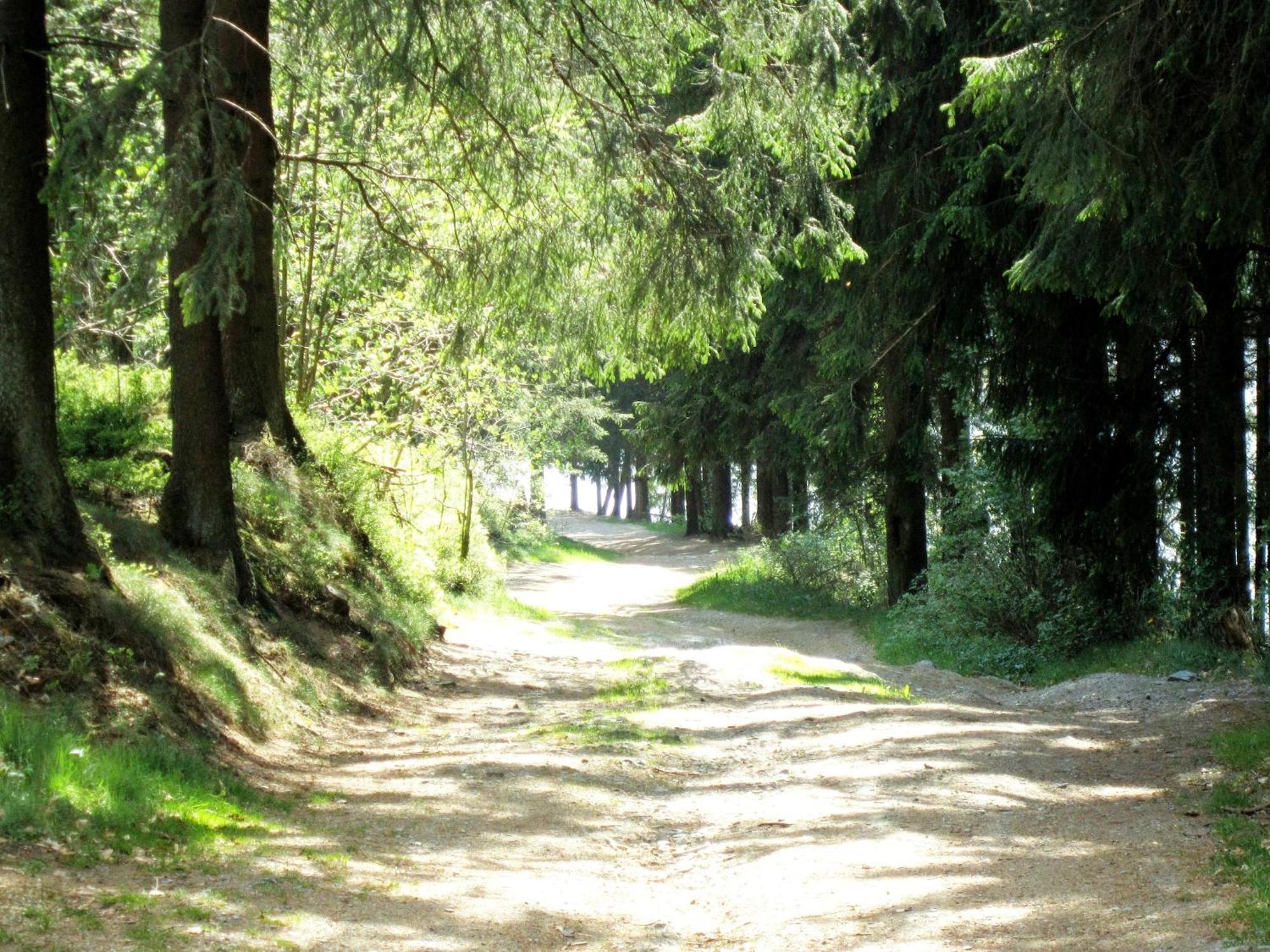 Boutique Chalet In B Llingen Near Lake Wirtzfeld Екстер'єр фото